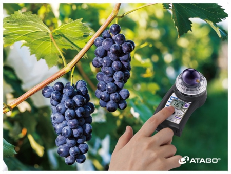 PAL-HIKARi 2. Измеритель показателя Brix в винограде