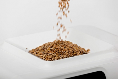 Infracont SGrain - переносной БИК-анализатор зерна, муки и масличных